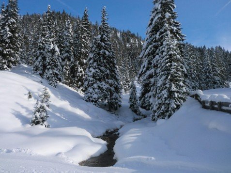 Schneeschuhwandern Pustertal